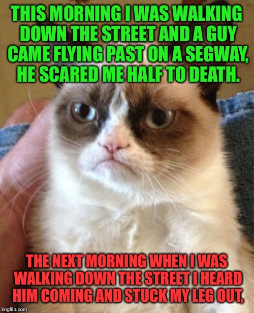 Grumpy Cat | THIS MORNING I WAS WALKING DOWN THE STREET AND A GUY CAME FLYING PAST ON A SEGWAY, HE SCARED ME HALF TO DEATH. THE NEXT MORNING WHEN I WAS WALKING DOWN THE STREET I HEARD HIM COMING AND STUCK MY LEG OUT, | image tagged in memes,grumpy cat | made w/ Imgflip meme maker