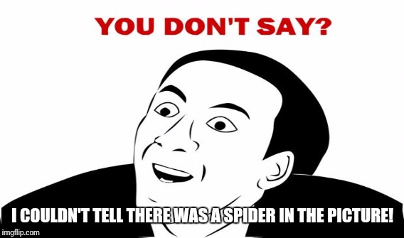 I COULDN'T TELL THERE WAS A SPIDER IN THE PICTURE! | made w/ Imgflip meme maker