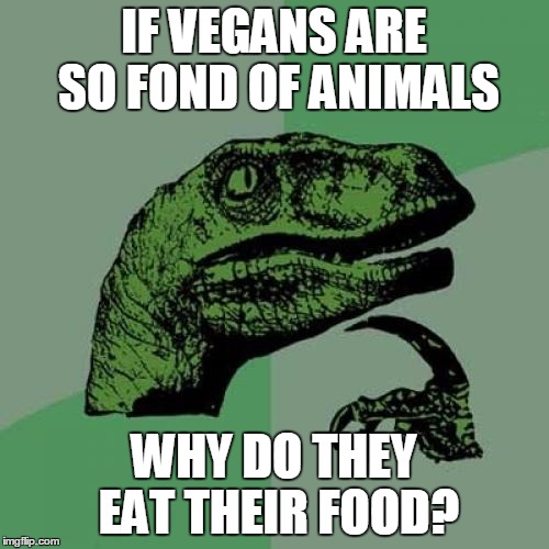 Philosoraptor Meme | IF VEGANS ARE SO FOND OF ANIMALS; WHY DO THEY EAT THEIR FOOD? | image tagged in memes,philosoraptor | made w/ Imgflip meme maker
