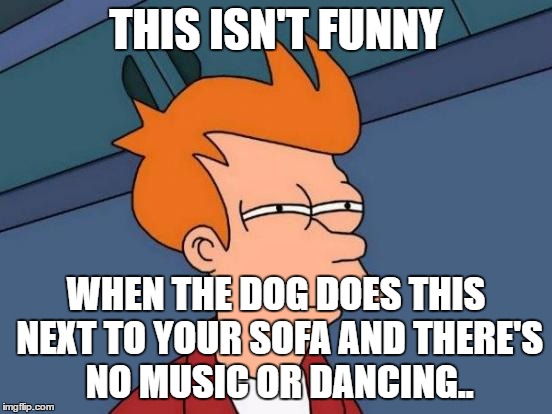 Futurama Fry Meme | THIS ISN'T FUNNY WHEN THE DOG DOES THIS NEXT TO YOUR SOFA AND THERE'S NO MUSIC OR DANCING.. | image tagged in memes,futurama fry | made w/ Imgflip meme maker