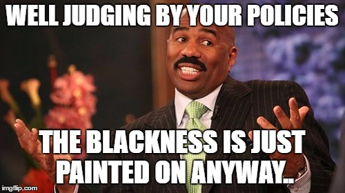 Steve Harvey Meme | WELL JUDGING BY YOUR POLICIES THE BLACKNESS IS JUST PAINTED ON ANYWAY.. | image tagged in memes,steve harvey | made w/ Imgflip meme maker
