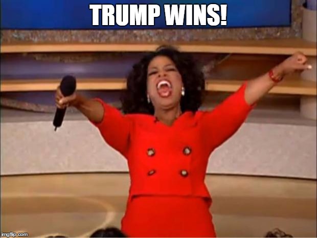 Oprah You Get A Meme | TRUMP WINS! | image tagged in memes,oprah you get a | made w/ Imgflip meme maker