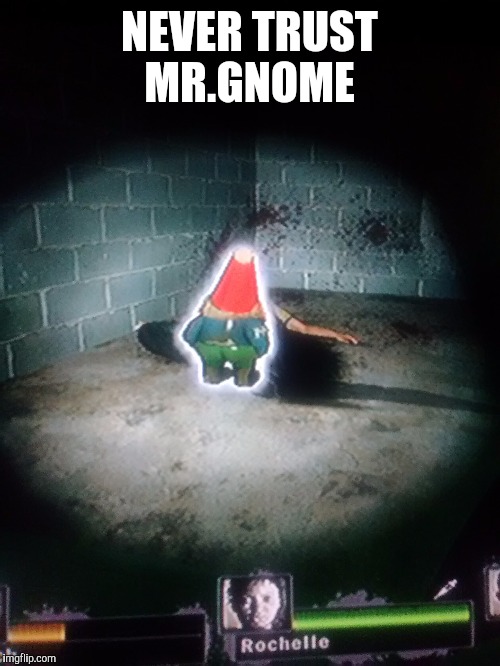 Never trust Mr.Gnome | NEVER TRUST MR.GNOME | image tagged in left 4 dead | made w/ Imgflip meme maker