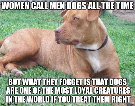 WOMEN CALL MEN DOGS ALL THE TIME; BUT WHAT THEY FORGET IS THAT DOGS ARE ONE OF THE MOST LOYAL CREATURES IN THE WORLD IF YOU TREAT THEM RIGHT | image tagged in dog,loyalty | made w/ Imgflip meme maker
