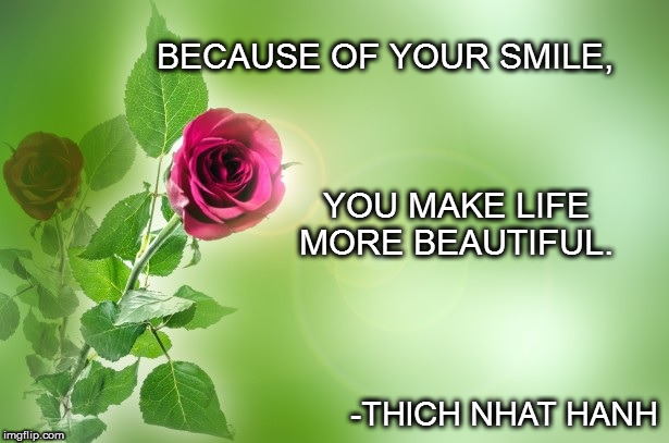 Because of Your Smile | BECAUSE OF YOUR SMILE, YOU MAKE LIFE MORE BEAUTIFUL. -THICH NHAT HANH | image tagged in joy,beauty,happiness,love,thich nhat hanh | made w/ Imgflip meme maker