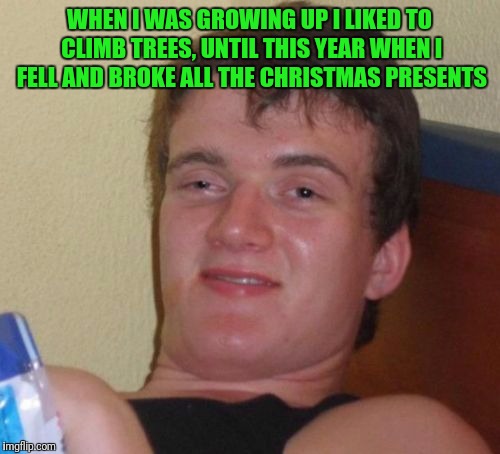 10 Guy Meme | WHEN I WAS GROWING UP I LIKED TO CLIMB TREES, UNTIL THIS YEAR WHEN I FELL AND BROKE ALL THE CHRISTMAS PRESENTS | image tagged in memes,10 guy | made w/ Imgflip meme maker