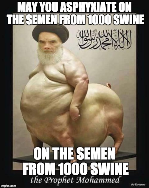 MAY YOU ASPHYXIATE ON THE SEMEN FROM 1000 SWINE ON THE SEMEN FROM 1000 SWINE | made w/ Imgflip meme maker
