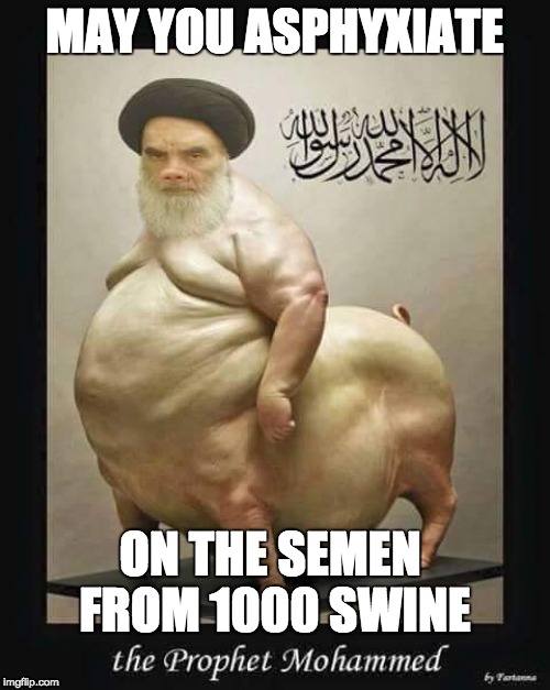 MAY YOU ASPHYXIATE ON THE SEMEN FROM 1000 SWINE | made w/ Imgflip meme maker