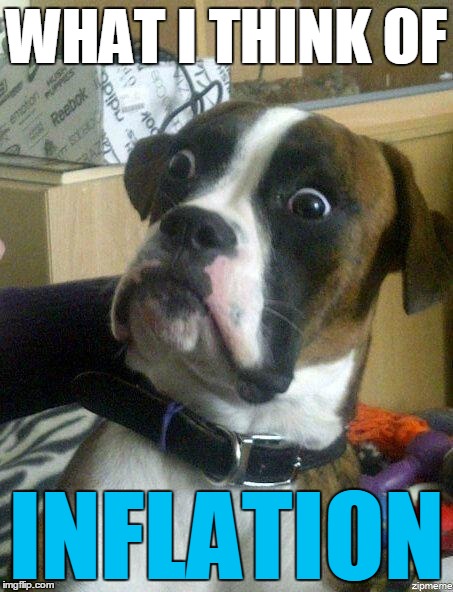 deviantart dog | WHAT I THINK OF; INFLATION | image tagged in funny dog,deviantart,inflation,memes,funny | made w/ Imgflip meme maker