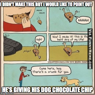 I DIDN'T MAKE THIS BUT I WOULD LIKE TO POINT OUT; HE'S GIVING HIS DOG CHOCOLATE CHIP | image tagged in cookie,dog | made w/ Imgflip meme maker