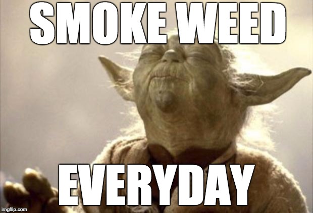 IN 2013 YODA BE LIKE | SMOKE WEED; EVERYDAY | image tagged in in 2013 yoda be like | made w/ Imgflip meme maker