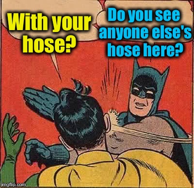Batman Slapping Robin Meme | With your hose? Do you see anyone else's hose here? | image tagged in memes,batman slapping robin | made w/ Imgflip meme maker