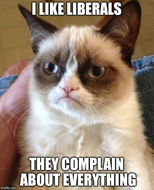 Grumpy Cat | I LIKE LIBERALS; THEY COMPLAIN ABOUT EVERYTHING | image tagged in memes,grumpy cat | made w/ Imgflip meme maker