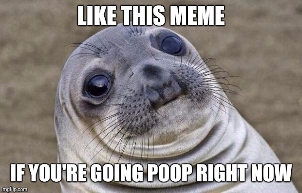 Awkward Moment Sealion | LIKE THIS MEME; IF YOU'RE GOING POOP RIGHT NOW | image tagged in memes,awkward moment sealion | made w/ Imgflip meme maker