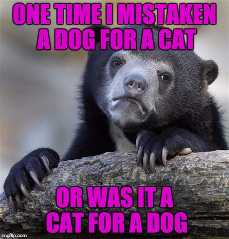 Is That Normal  | ONE TIME I MISTAKEN A DOG FOR A CAT; OR WAS IT A CAT FOR A DOG | image tagged in memes,confession bear | made w/ Imgflip meme maker