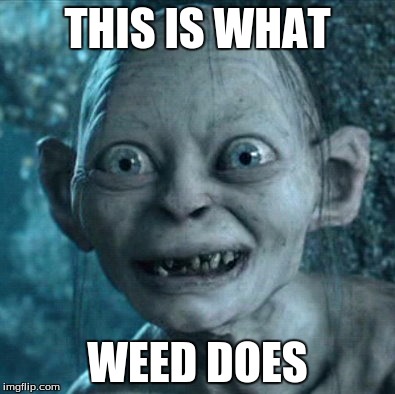 Gollum | THIS IS WHAT; WEED DOES | image tagged in memes,gollum | made w/ Imgflip meme maker