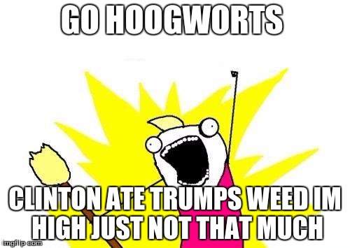 X All The Y | GO HOOGWORTS; CLINTON ATE TRUMPS WEED
IM HIGH JUST NOT THAT MUCH | image tagged in memes,x all the y | made w/ Imgflip meme maker