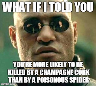 WHAT IF I TOLD YOU; YOU'RE MORE LIKELY TO BE KILLED BY A CHAMPAGNE CORK THAN BY A POISONOUS SPIDER | image tagged in k | made w/ Imgflip meme maker