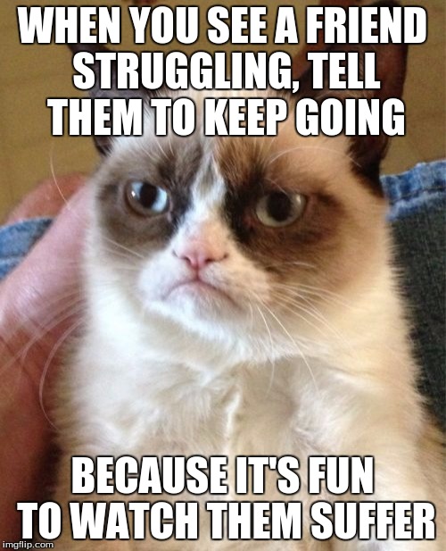 Grumpy Cat Meme | WHEN YOU SEE A FRIEND STRUGGLING, TELL THEM TO KEEP GOING BECAUSE IT'S FUN TO WATCH THEM SUFFER | image tagged in memes,grumpy cat | made w/ Imgflip meme maker