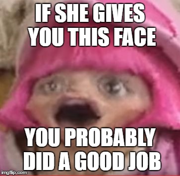 Extremely Informative Mem | IF SHE GIVES YOU THIS FACE; YOU PROBABLY DID A GOOD JOB | image tagged in shebliss,lazytown,lazy town,meme,blur | made w/ Imgflip meme maker