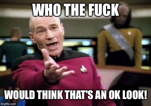 Picard Wtf Meme | WHO THE F**K WOULD THINK THAT'S AN OK LOOK! | image tagged in memes,picard wtf | made w/ Imgflip meme maker