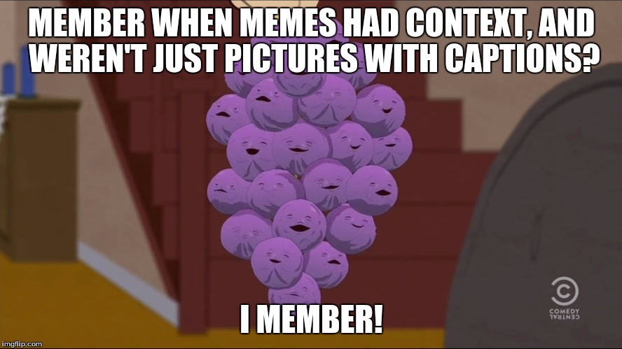 I member! | MEMBER WHEN MEMES HAD CONTEXT, AND WEREN'T JUST PICTURES WITH CAPTIONS? I MEMBER! | image tagged in memes,member berries | made w/ Imgflip meme maker