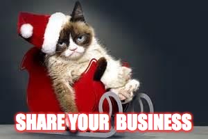Compliance Cat Holidays | SHARE YOUR  BUSINESS | image tagged in compliance cat holidays | made w/ Imgflip meme maker