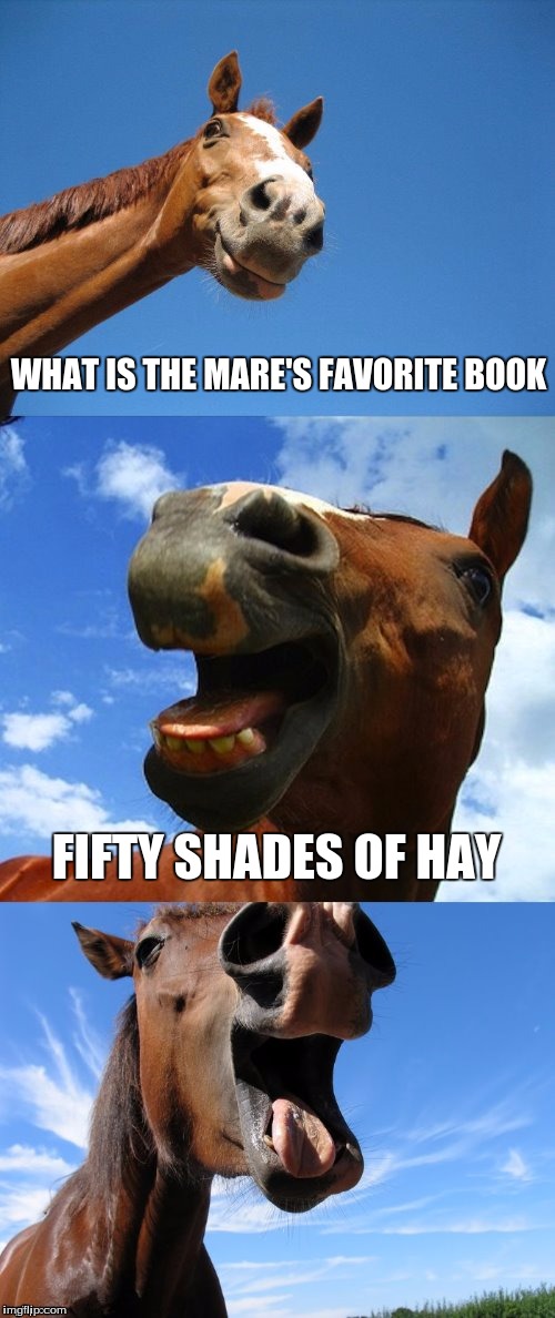 Just Horsing Around | WHAT IS THE MARE'S FAVORITE BOOK; FIFTY SHADES OF HAY | image tagged in just horsing around | made w/ Imgflip meme maker