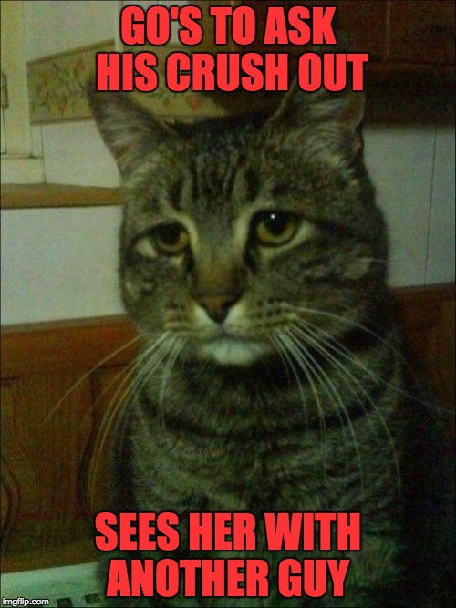 Should've Sooner   | GO'S TO ASK HIS CRUSH OUT; SEES HER WITH ANOTHER GUY | image tagged in memes,depressed cat | made w/ Imgflip meme maker