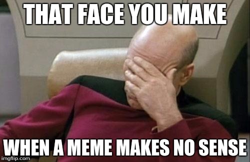 Captain Picard Facepalm | THAT FACE YOU MAKE; WHEN A MEME MAKES NO SENSE | image tagged in memes,captain picard facepalm | made w/ Imgflip meme maker
