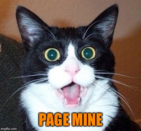 whoa cat | PAGE MINE | image tagged in whoa cat | made w/ Imgflip meme maker