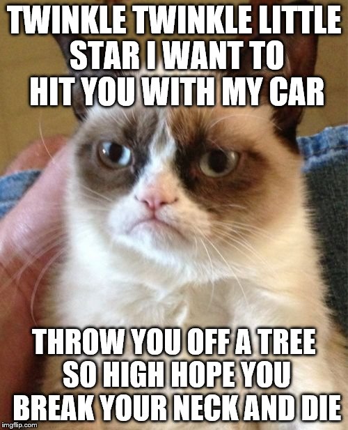 Grumpy Cat | TWINKLE TWINKLE LITTLE STAR I WANT TO HIT YOU WITH MY CAR; THROW YOU OFF A TREE SO HIGH HOPE YOU BREAK YOUR NECK AND DIE | image tagged in memes,grumpy cat | made w/ Imgflip meme maker
