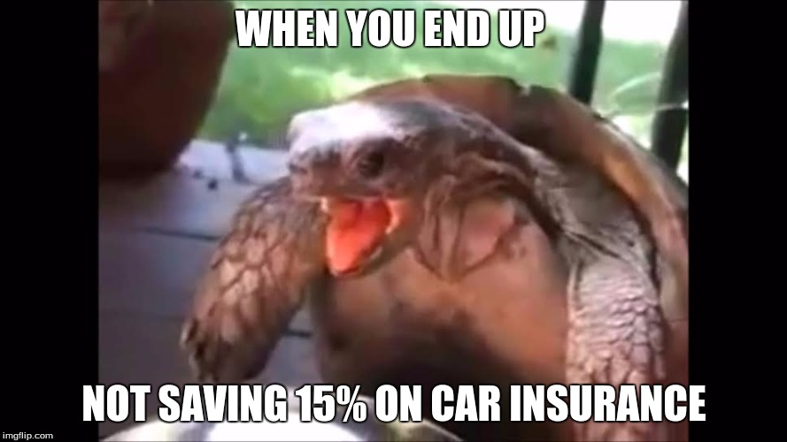 Stupid Lying Ads!! | WHEN YOU END UP; NOT SAVING 15% ON CAR INSURANCE | image tagged in turtle,animal,meme,car | made w/ Imgflip meme maker
