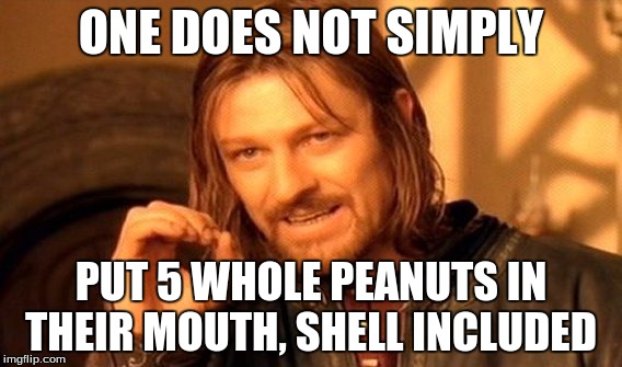 One Does Not Simply Meme | ONE DOES NOT SIMPLY; PUT 5 WHOLE PEANUTS IN THEIR MOUTH, SHELL INCLUDED | image tagged in memes,one does not simply | made w/ Imgflip meme maker