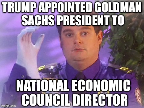 TSA Douche | TRUMP APPOINTED GOLDMAN SACHS PRESIDENT TO; NATIONAL ECONOMIC COUNCIL DIRECTOR | image tagged in memes,tsa douche | made w/ Imgflip meme maker