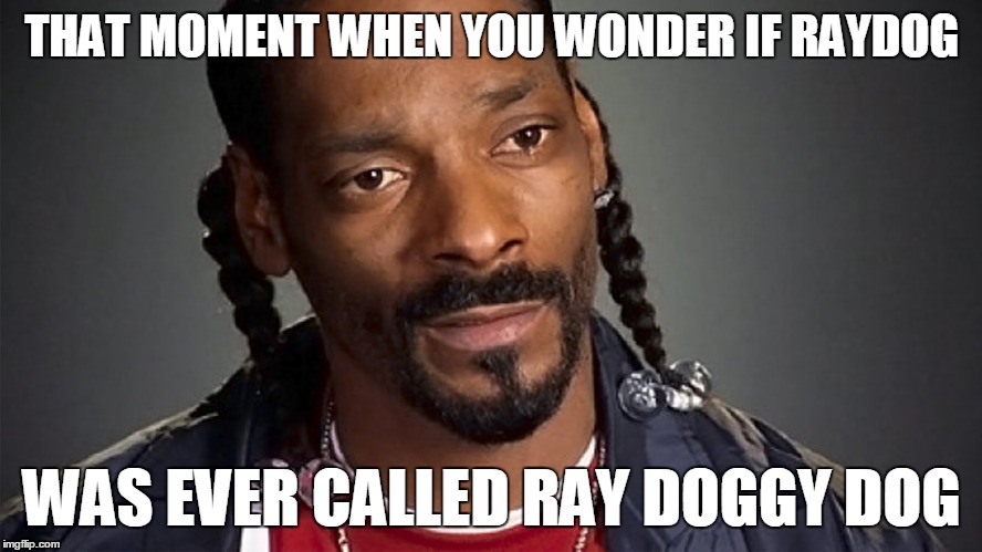 Ray Doggy Dog | THAT MOMENT WHEN YOU WONDER IF RAYDOG; WAS EVER CALLED RAY DOGGY DOG | image tagged in snoop dogg,raydog,that moment when,toked up jester | made w/ Imgflip meme maker