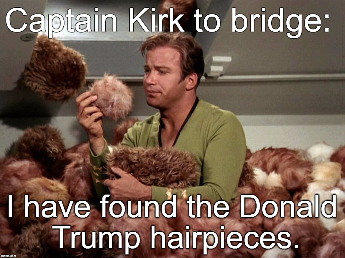 Captain Kirk to Bridge: "I Have Found the Donald Trump Hairpieces." | Captain Kirk to bridge:; I have found the Donald Trump hairpieces. | image tagged in trump,wig,star,trek,kirk,toupee | made w/ Imgflip meme maker