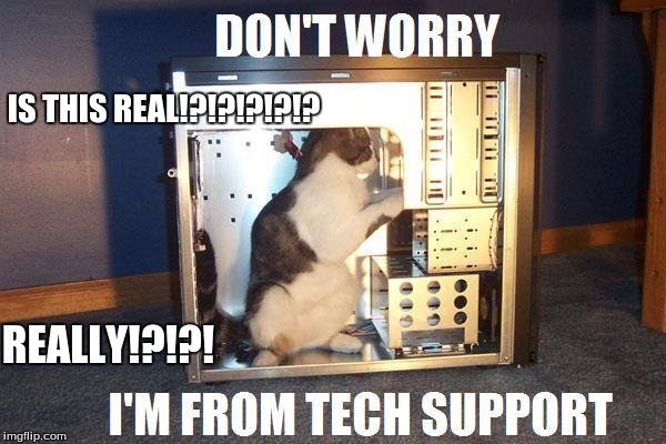 Computer Cat | IS THIS REAL!?!?!?!?!? REALLY!?!?! | image tagged in meme,funny,cat,computer | made w/ Imgflip meme maker