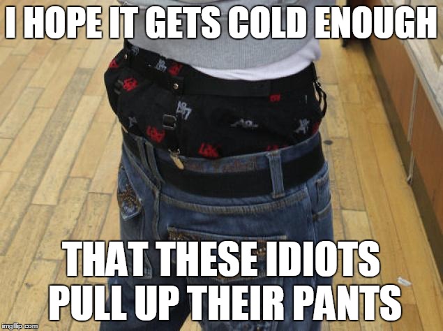 Cold enough.... | I HOPE IT GETS COLD ENOUGH; THAT THESE IDIOTS PULL UP THEIR PANTS | image tagged in funny | made w/ Imgflip meme maker