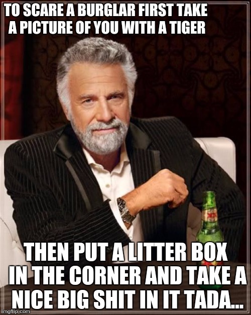 The Most Interesting Man In The World Meme | TO SCARE A BURGLAR FIRST TAKE A PICTURE OF YOU WITH A TIGER; THEN PUT A LITTER BOX IN THE CORNER AND TAKE A NICE BIG SHIT IN IT TADA... | image tagged in memes,the most interesting man in the world | made w/ Imgflip meme maker
