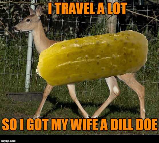She's always playing with that thing. | I TRAVEL A LOT; SO I GOT MY WIFE A DILL DOE | image tagged in dill doe | made w/ Imgflip meme maker