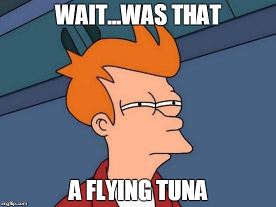 Futurama Fry | WAIT...WAS THAT; A FLYING TUNA | image tagged in memes,futurama fry | made w/ Imgflip meme maker