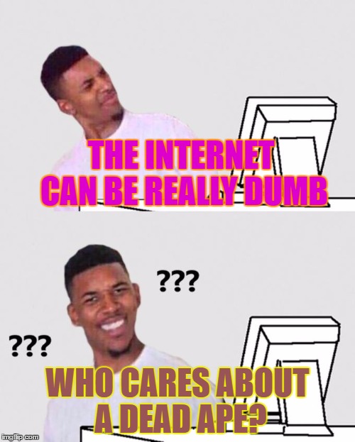 nick young | THE INTERNET CAN BE REALLY DUMB; WHO CARES ABOUT A DEAD APE? | image tagged in nick young | made w/ Imgflip meme maker