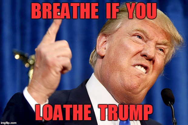 Donald Trump | BREATHE  IF  YOU; LOATHE  TRUMP | image tagged in donald trump | made w/ Imgflip meme maker