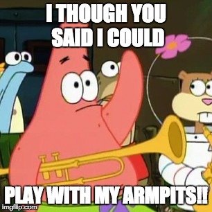 No Patrick | I THOUGH YOU SAID I COULD; PLAY WITH MY ARMPITS!! | image tagged in memes,no patrick | made w/ Imgflip meme maker