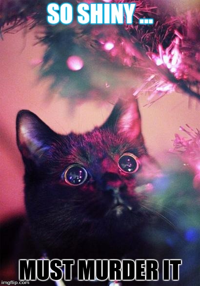 Christmas Cat | SO SHINY ... MUST MURDER IT | image tagged in christmas cat | made w/ Imgflip meme maker