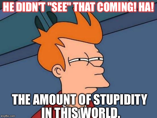 Futurama Fry Meme | HE DIDN'T "SEE" THAT COMING! HA! THE AMOUNT OF STUPIDITY IN THIS WORLD. | image tagged in memes,futurama fry | made w/ Imgflip meme maker