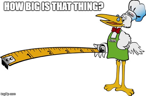 HOW BIG IS THAT THING? | made w/ Imgflip meme maker