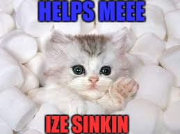 marshmallow kitty | HELPS MEEE; IZE SINKIN | image tagged in marshmallow kitty | made w/ Imgflip meme maker