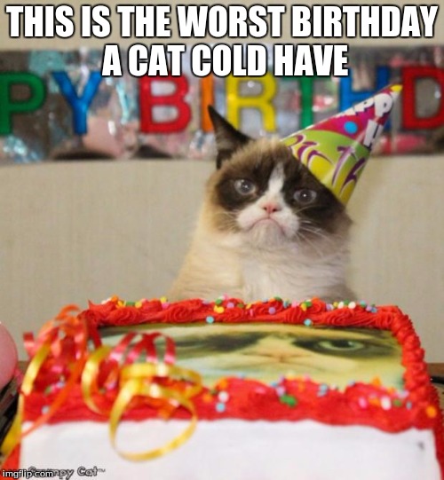 Grumpy Cat Birthday | THIS IS THE WORST BIRTHDAY A CAT COLD HAVE | image tagged in memes,grumpy cat birthday,grumpy cat | made w/ Imgflip meme maker